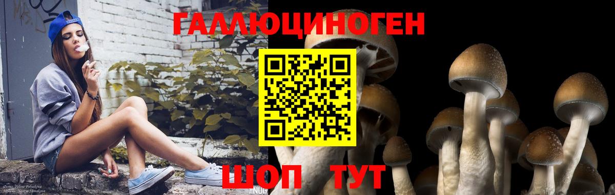Псилоцибиновые грибы Psilocybine cubensis  Вход с VPN  Таганрог  Псилоцибиновые грибы мицелий 