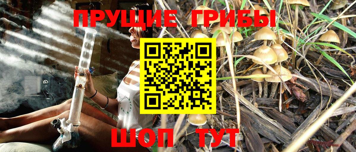 Галлюциногенные грибы GOLDEN TEACHER Таганрог